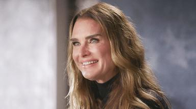 Brooke Shields: la mujer más bella 1x1