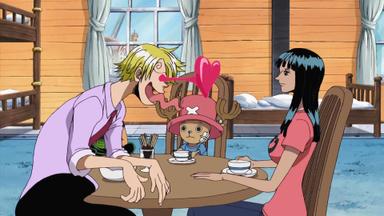 One Piece 9x315