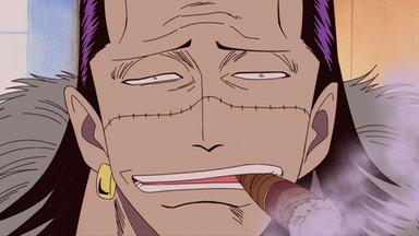 One Piece 4x118