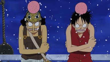 One Piece 9x327