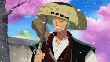 One Piece 9x303