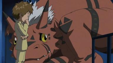 Digimon Tamers 1x9