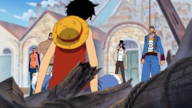 One Piece 8x239