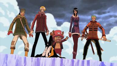 One Piece 9x335