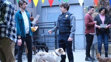 Animal Control 1x9