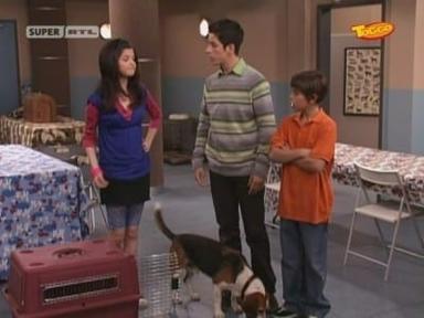 Los magos de Waverly Place 1x8