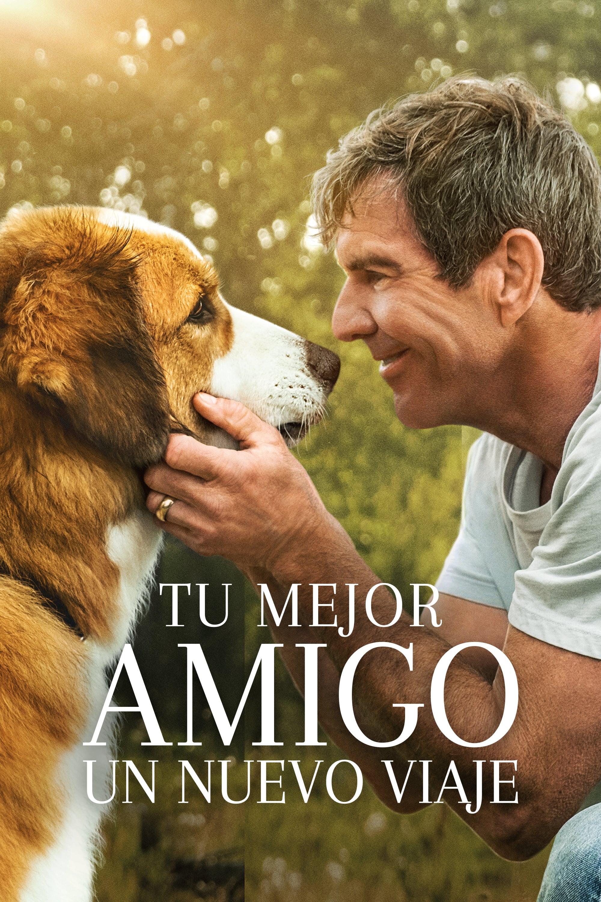 Tu mejor amigo: Un nuevo viaje