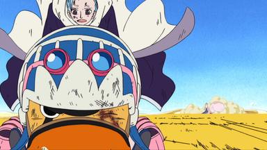 One Piece 4x113