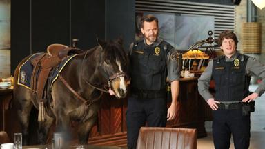 Animal Control 1x12