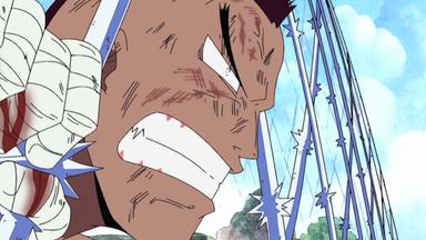 One Piece 6x177