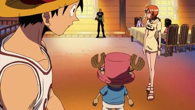 One Piece 9x323