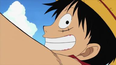 One Piece 1x1