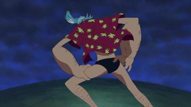 One Piece 8x261