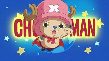 One Piece 9x336