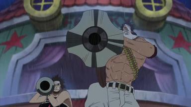 One Piece 8x257