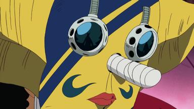 One Piece 8x263