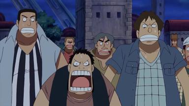 One Piece 8x252