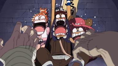 One Piece 10x342