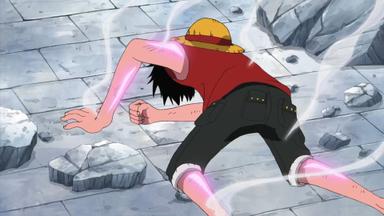 One Piece 9x308