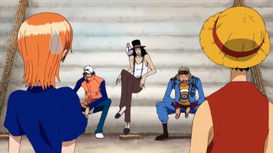 One Piece 8x233