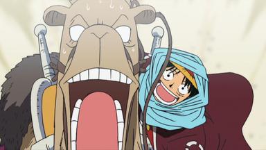 One Piece 4x97