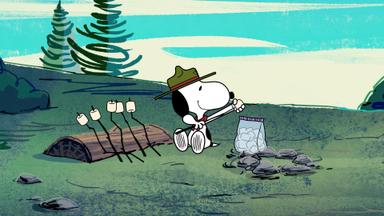 De campamento con Snoopy 1x6