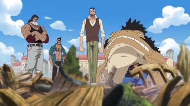 One Piece 9x322