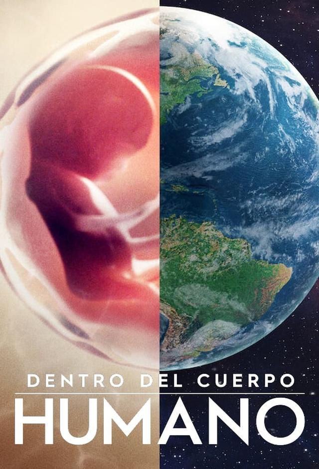 Dentro del cuerpo humano